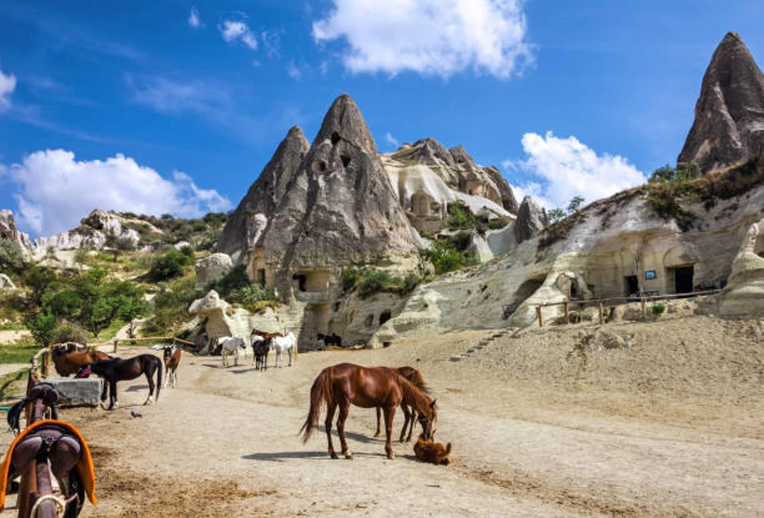 Cappadocia Horseback Riding