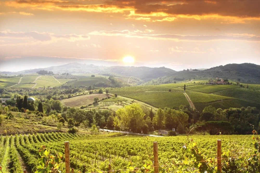 Chianti Wine Region