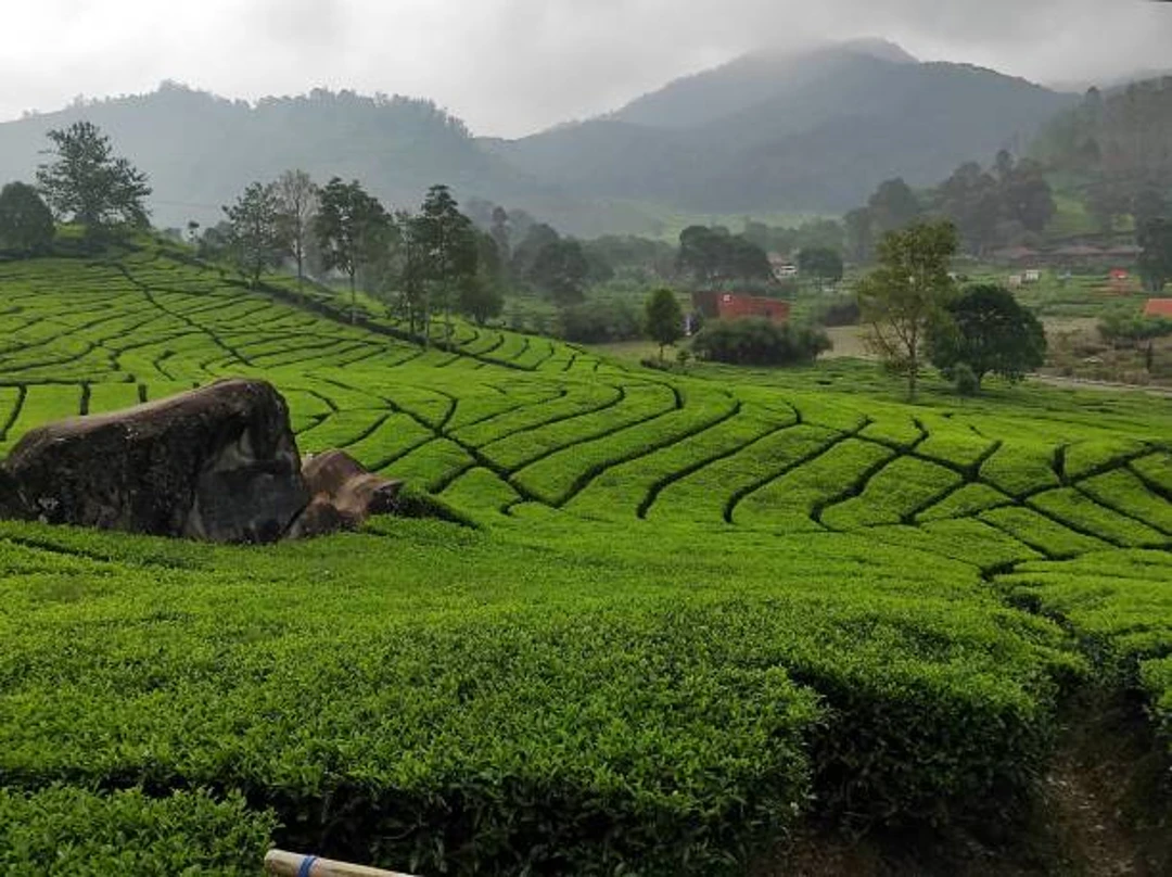 Ciwidey und Pangalengan
