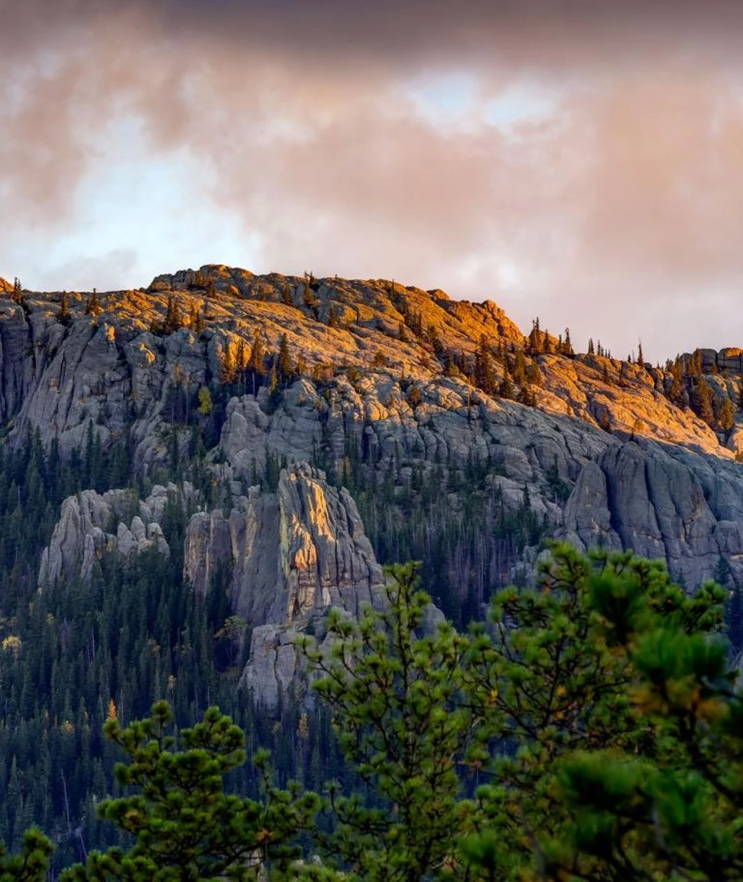 Custer State Park