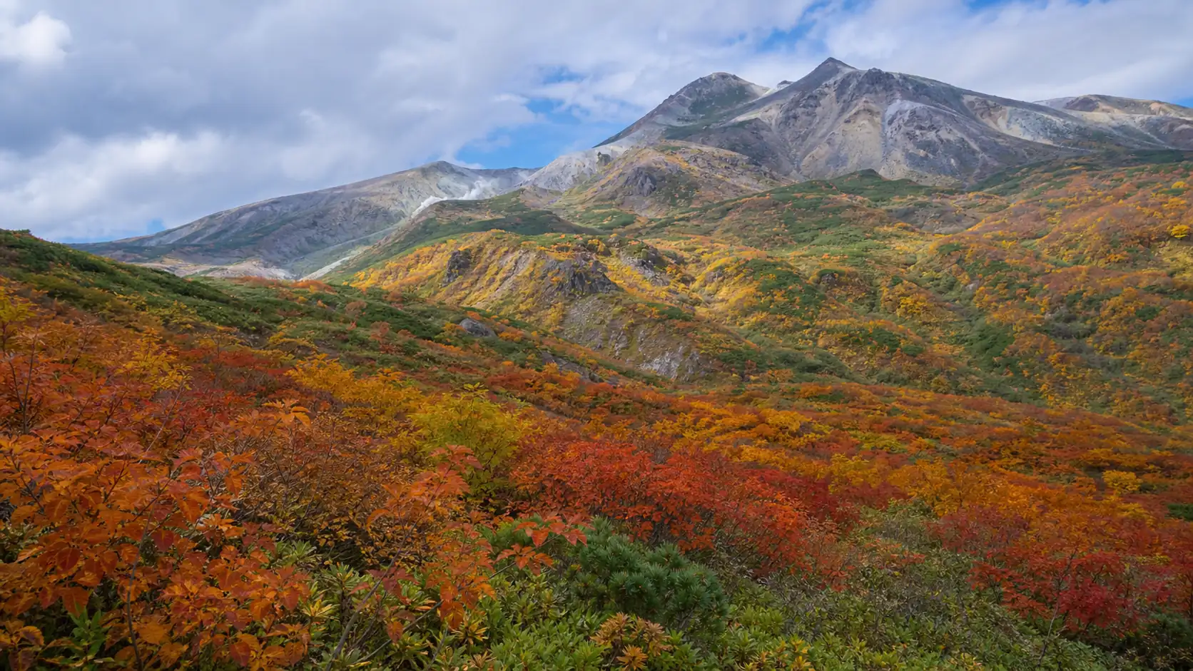 Autumn foliage in Daisetsuzan National Park in Hokkaido without people Autumn foliage in Daisetsuzan National Park in Hokkaido without people