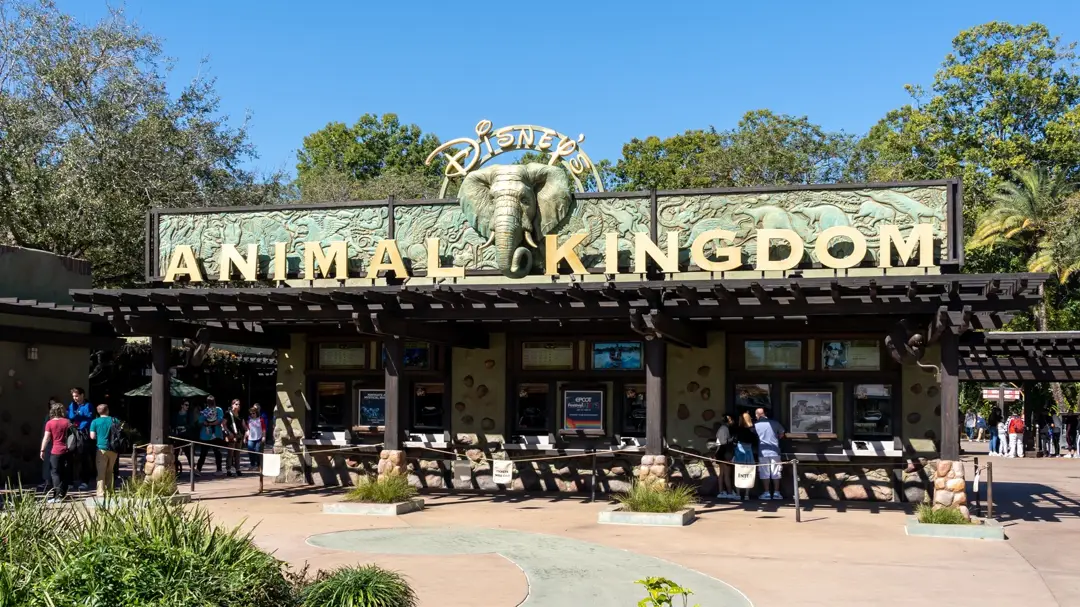 Disney Animal Kingdom
