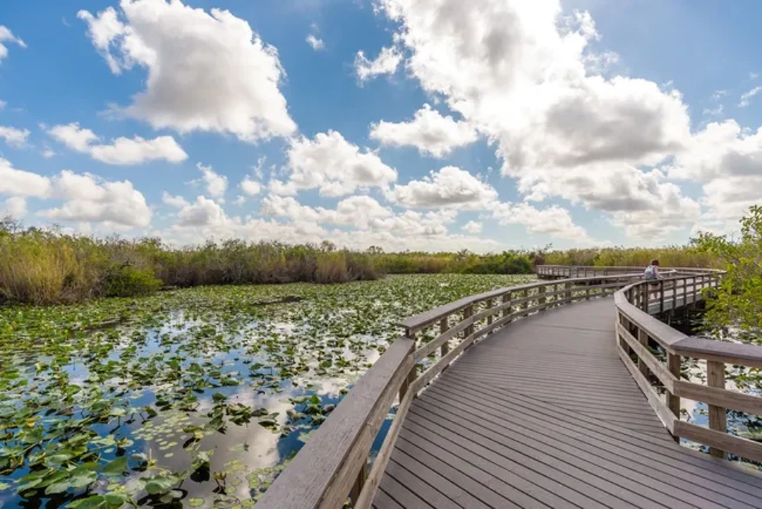 Everglades National Park