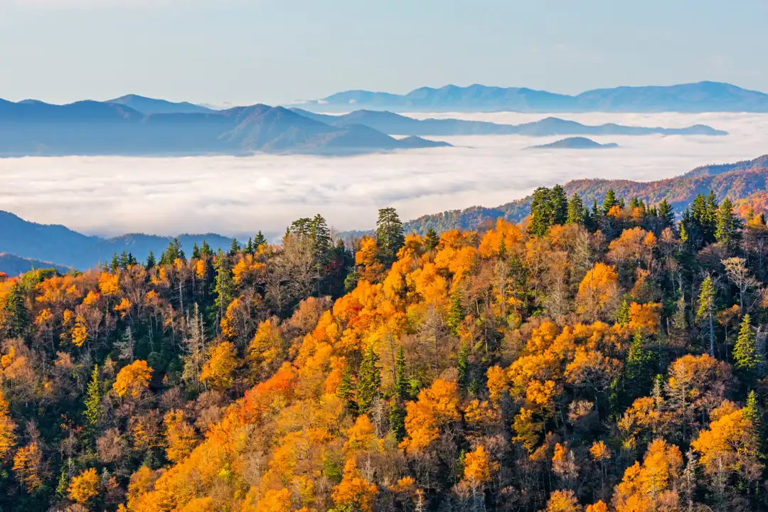 Great Smoky Mountains National Park