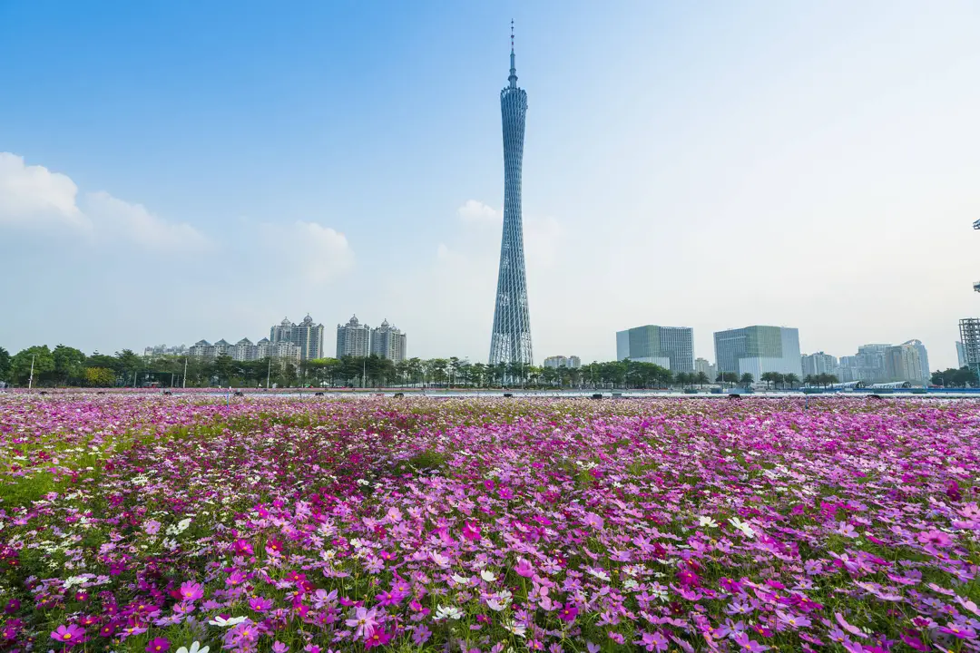 Guangzhou Spring