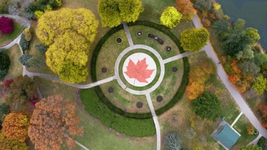 High Park