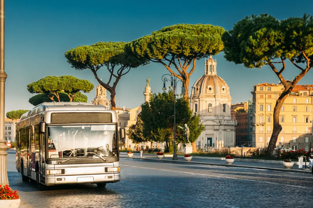 Italy Local Laws