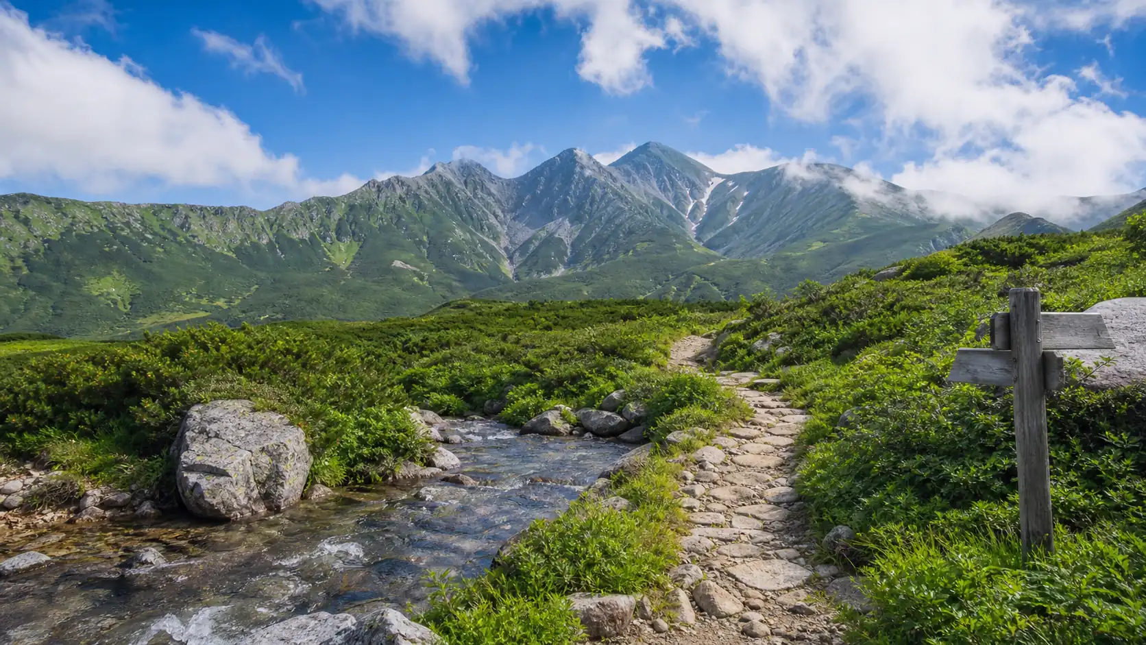 A green hiking trail and stream in the Japan Alps in July A green hiking trail and stream in the Japan Alps in July