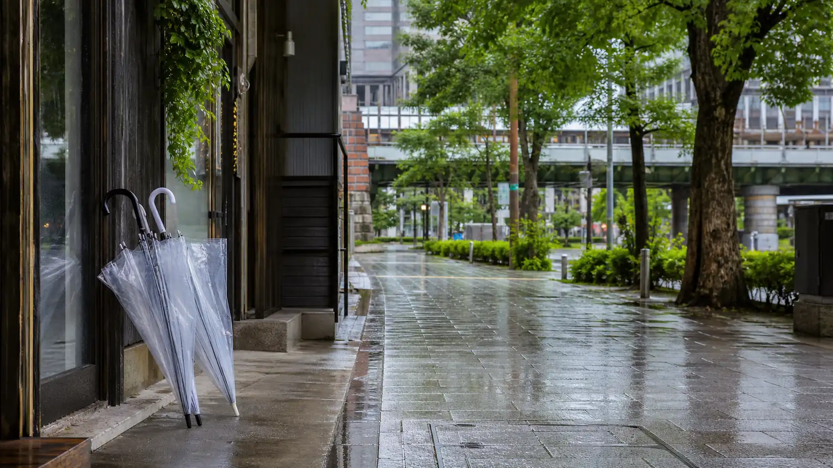 An empty Tokyo street with umbrellas after a July shower An empty Tokyo street with umbrellas after a July shower