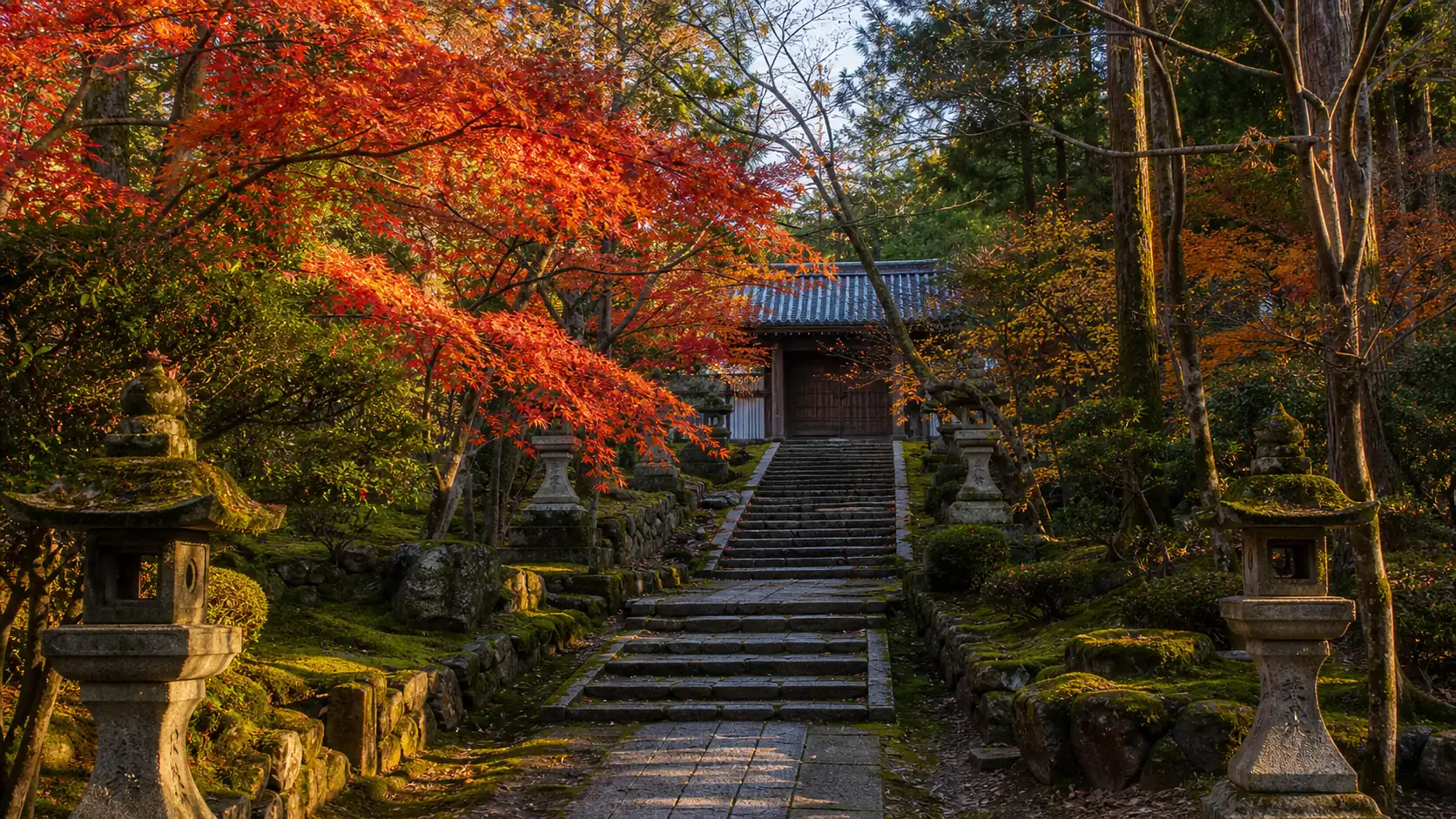 Quiet Kyoto temple path with red maple leaves in November Quiet Kyoto temple path with red maple leaves in November