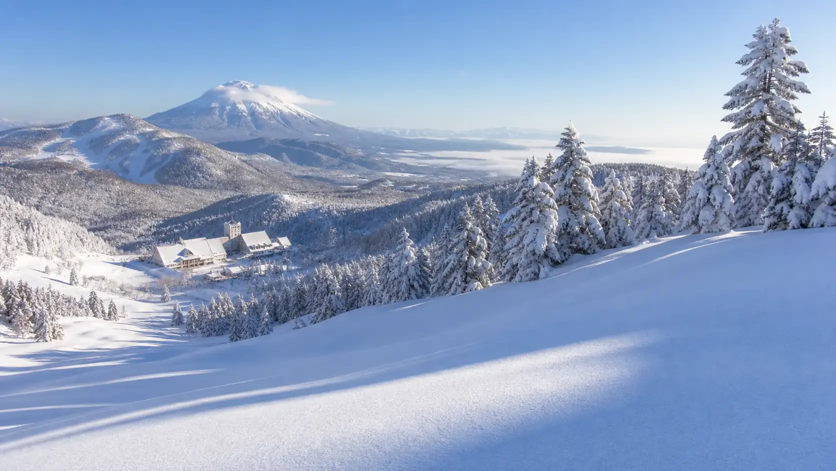 Hokkaido powder snow scene with frosted trees and distant resort buildings Hokkaido powder snow scene with frosted trees and distant resort buildings
