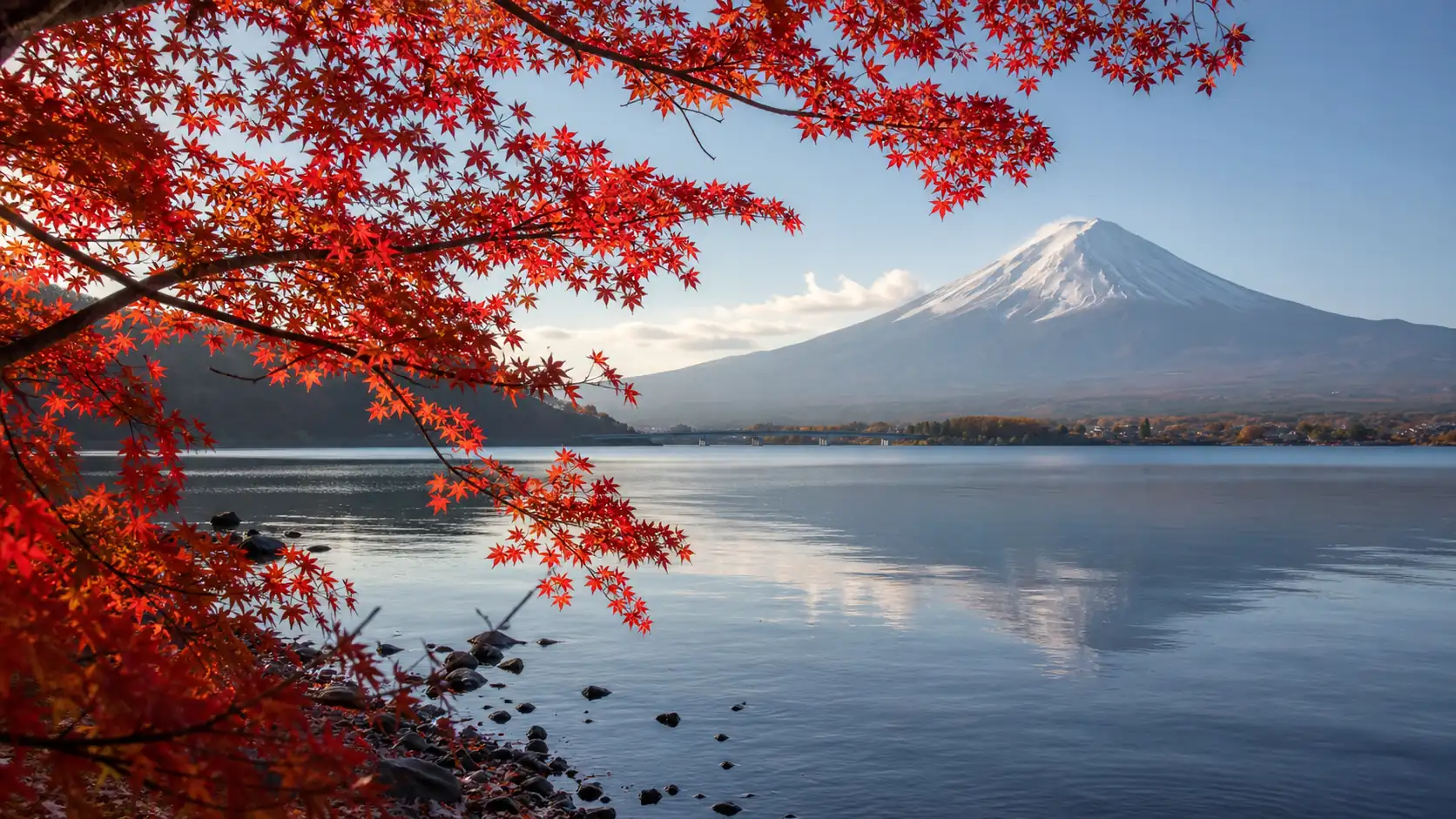 Lake Kawaguchi autumn maples with Mount Fuji and no people Lake Kawaguchi autumn maples with Mount Fuji and no people