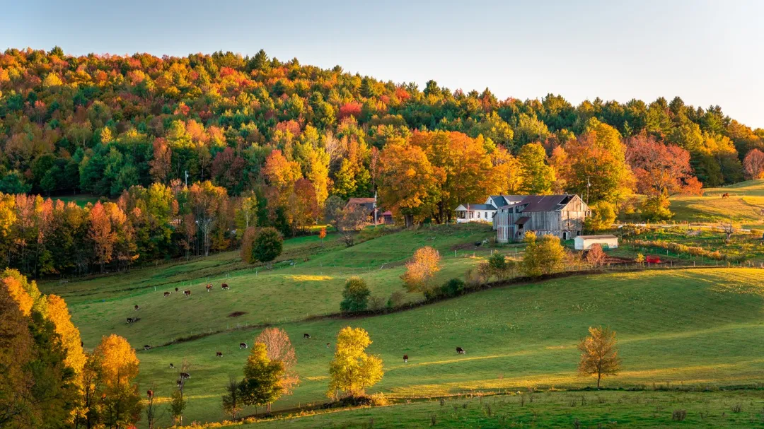 Landscape Diversity Us