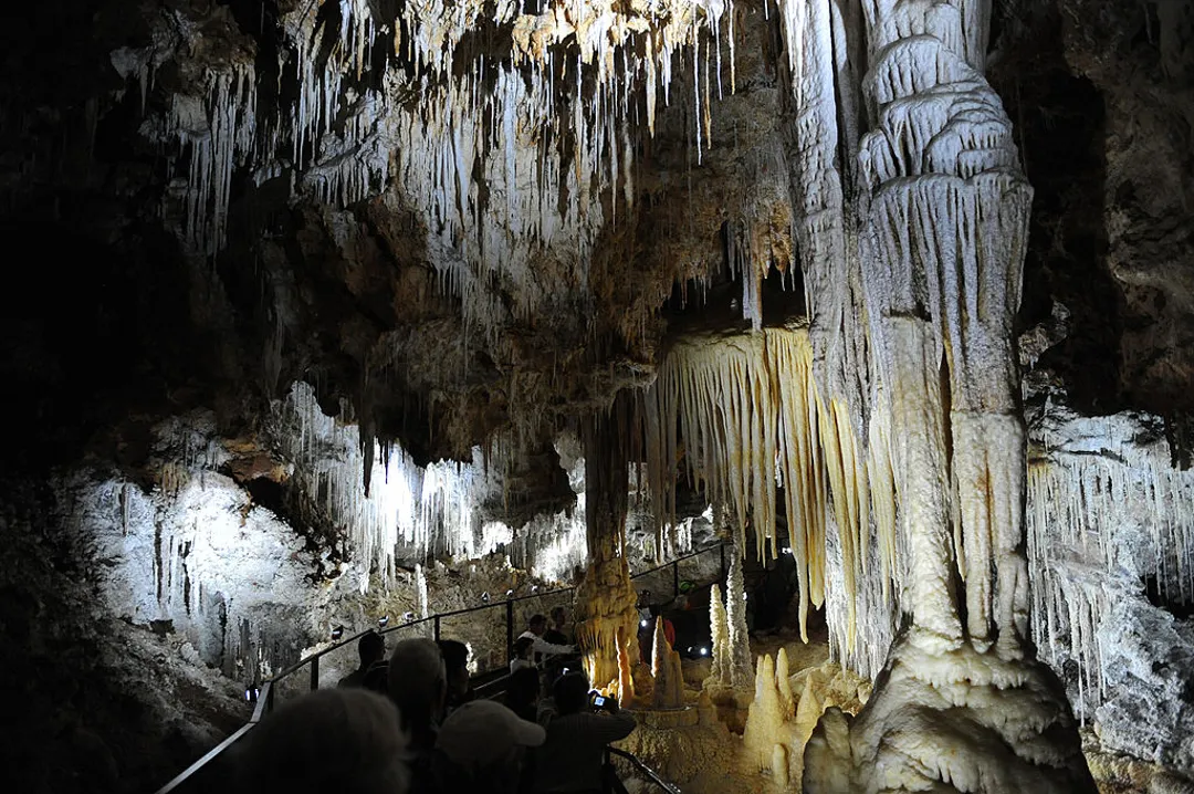 Mammoth Cave National Park