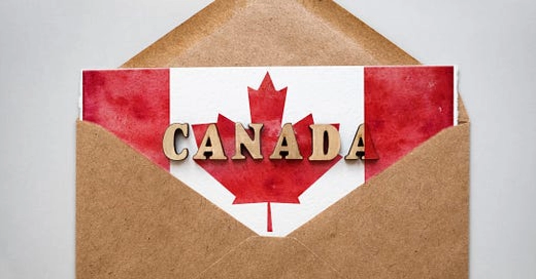 Maple Leaf