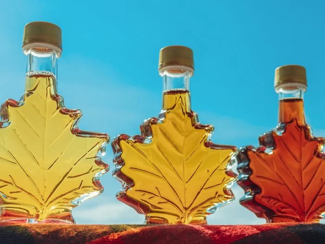 Maple Syrup