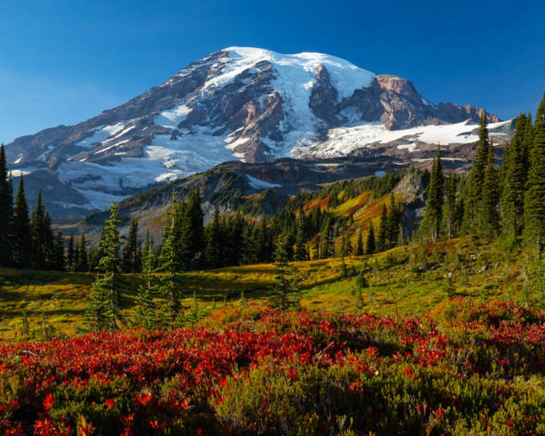Mount Rainier