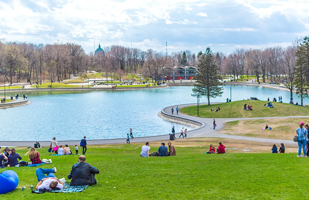 Mount Royal Park