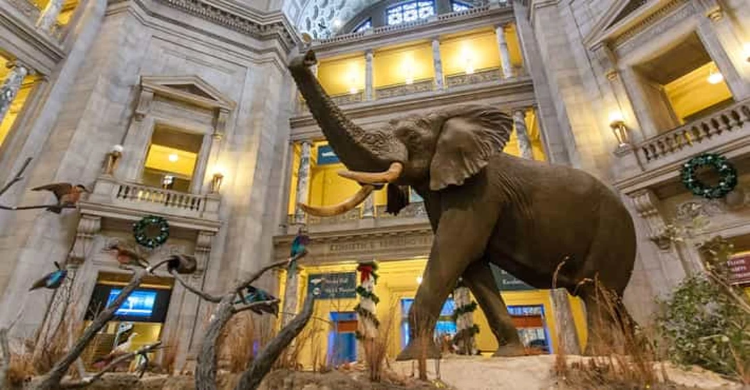 Museums in USA