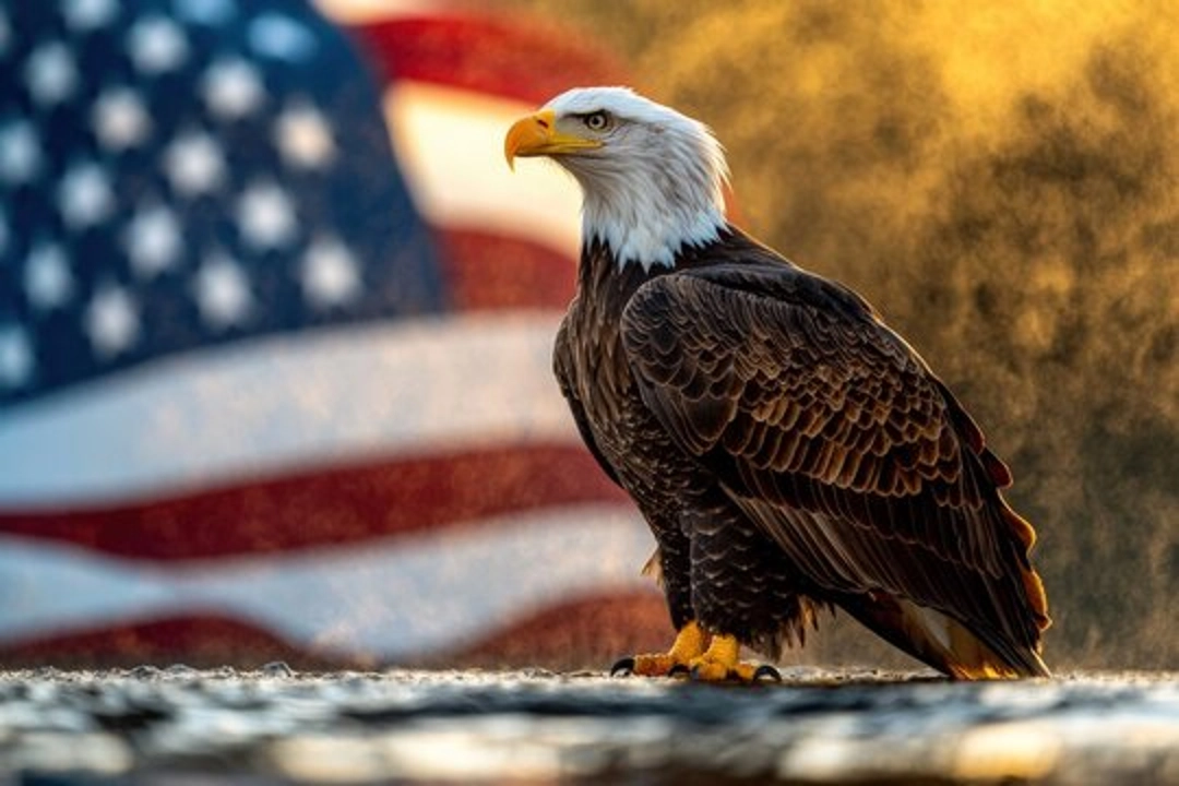National Animal of USA Cover