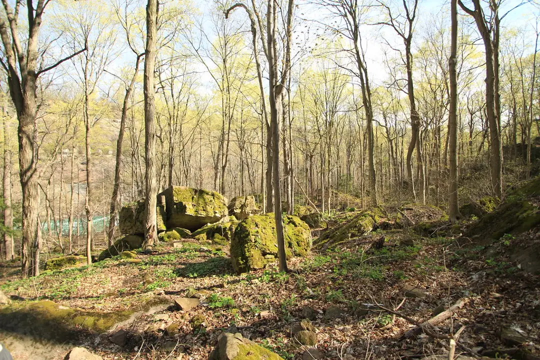 Niagara Glen Nature Reserve