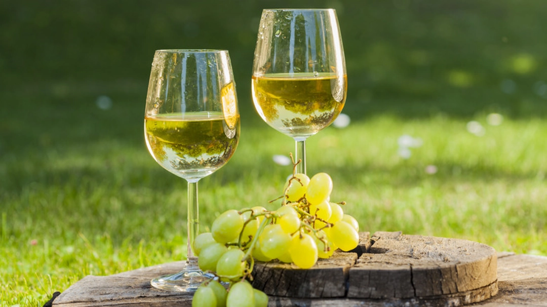 Pinot Grigio
