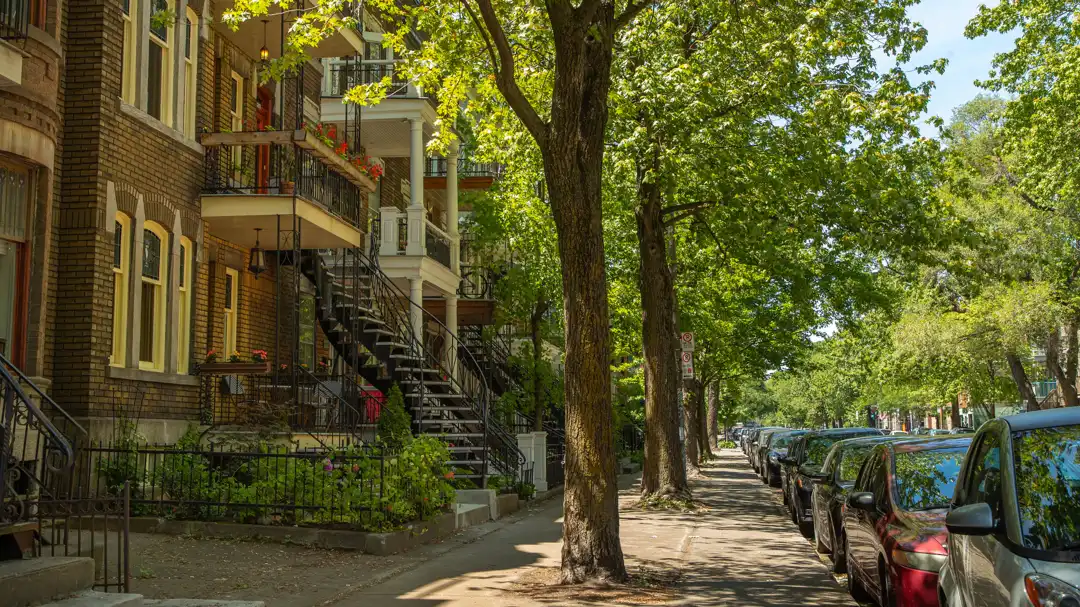 Plateau Mont Royal in Quebec