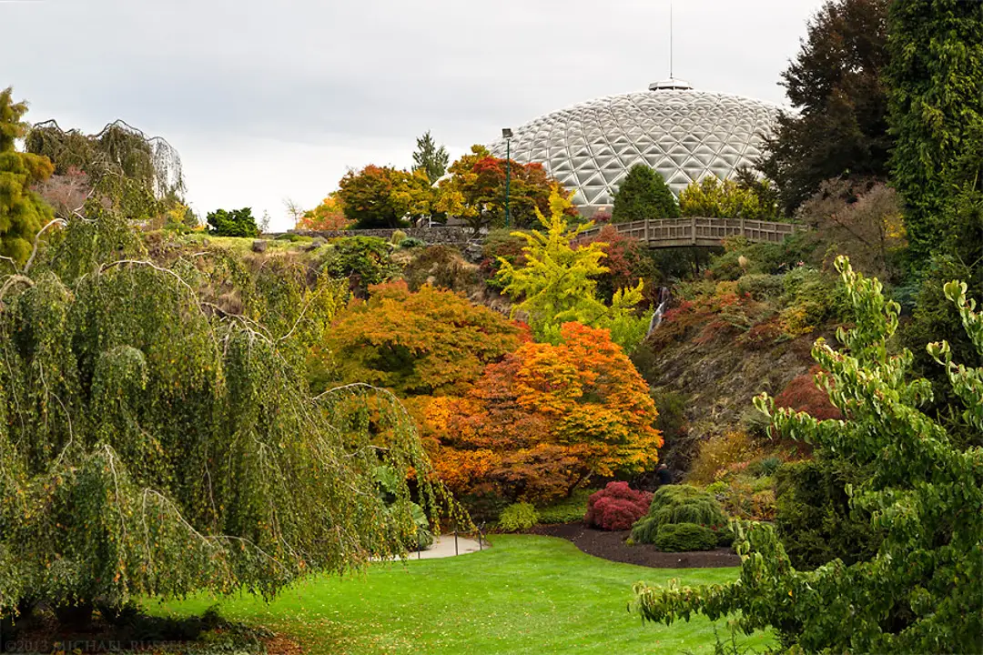 Queen Elizabeth Park