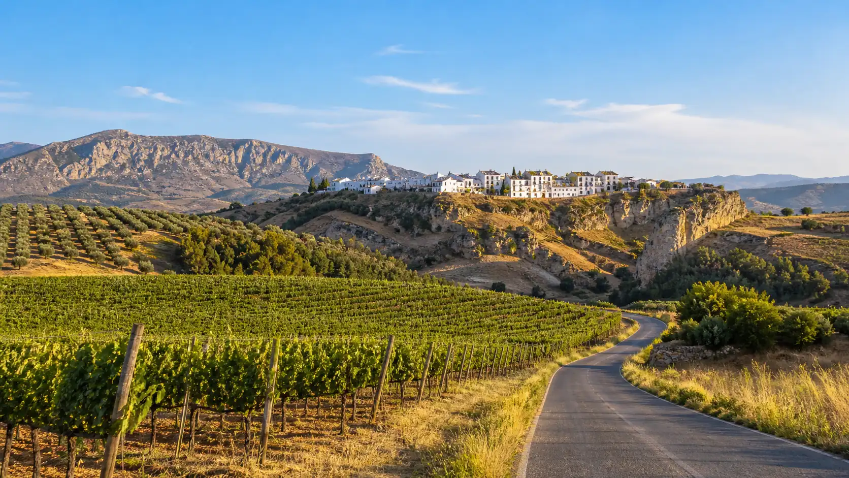 Ronda countryside with vineyards and white village views Rondas Umland mit Weinbergen und Blick auf weiße Dörfer