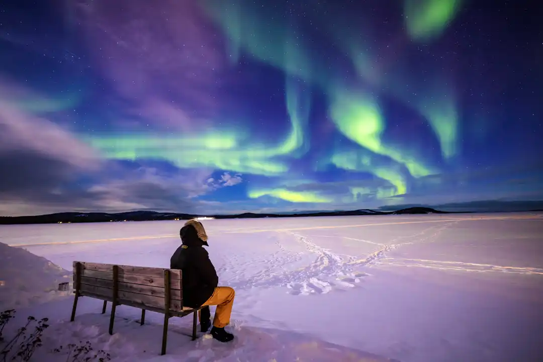 See the Northern Lights