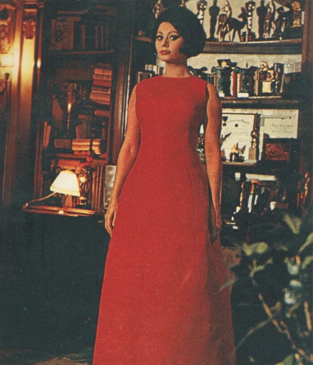 Sophia Loren