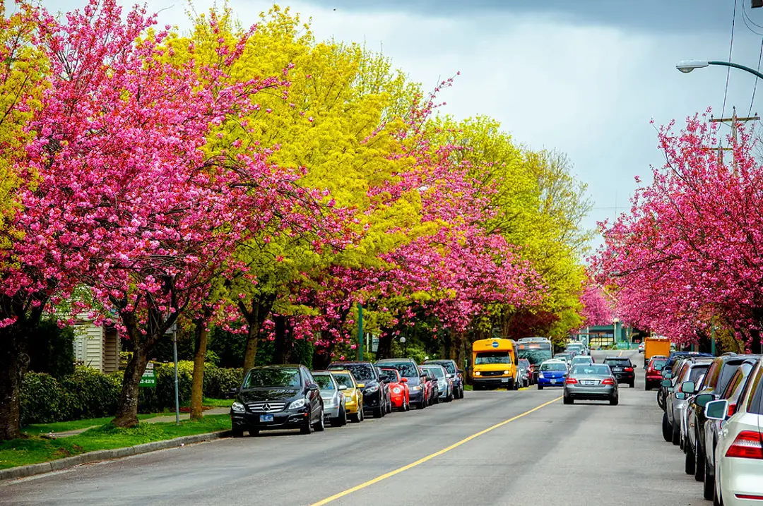 Spring in Canada