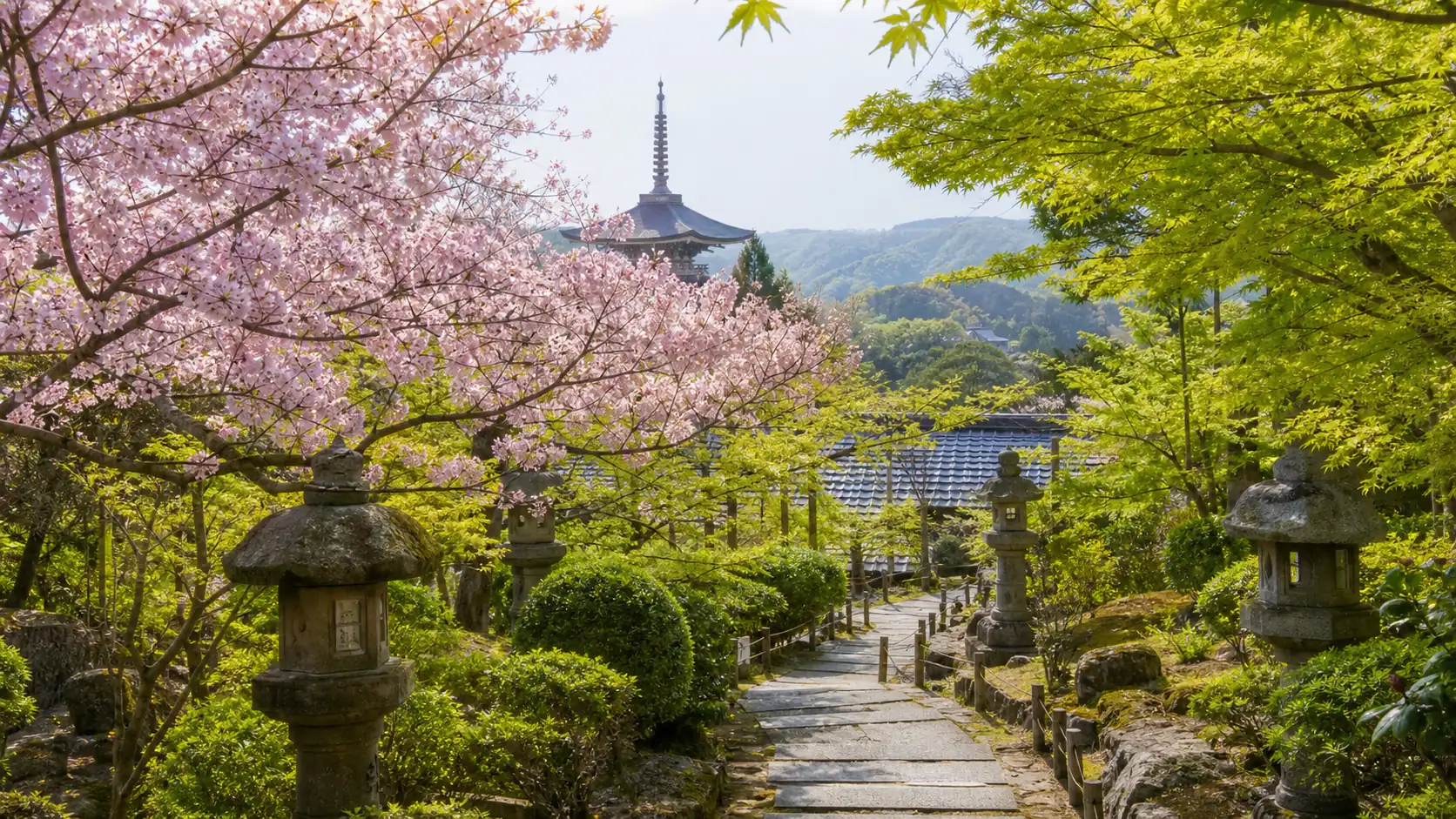 Quiet Kyoto temple garden with cherry blossoms for Japan spring holiday planning Quiet Kyoto temple garden with cherry blossoms for Japan spring holiday planning