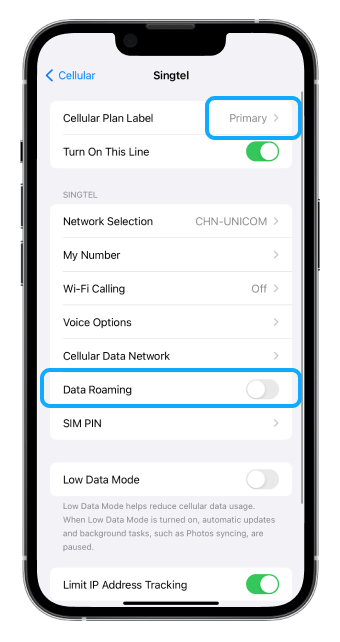 iOS Cellular Carrier Data Roaming for Primary Cellular Plan Off