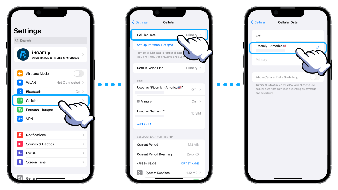 iOS Cellular Data Iroamly American Selected