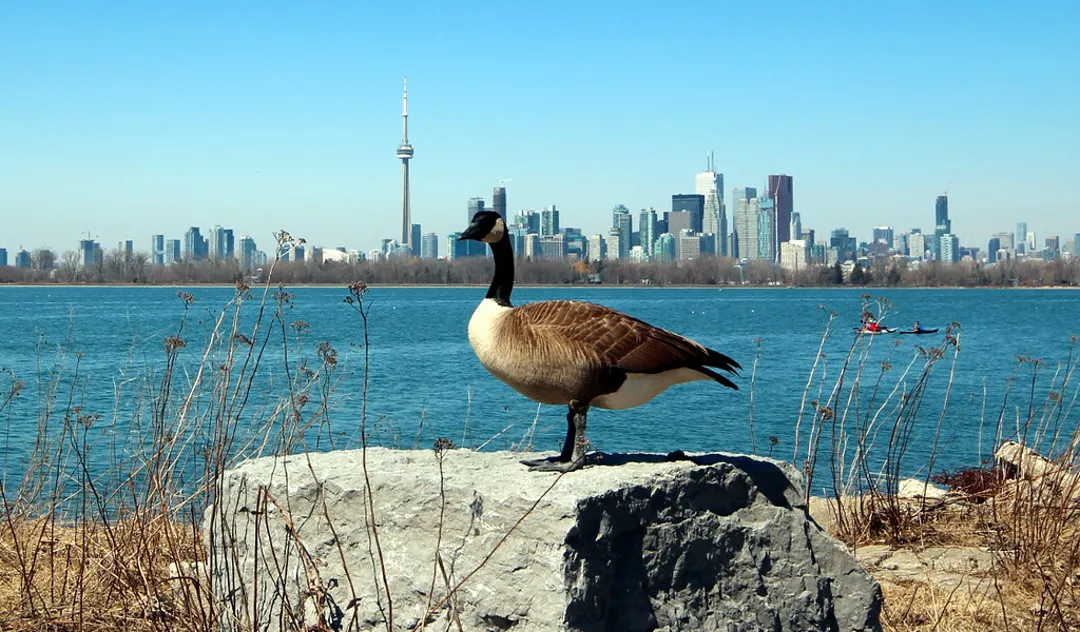 Tommy Thompson Park