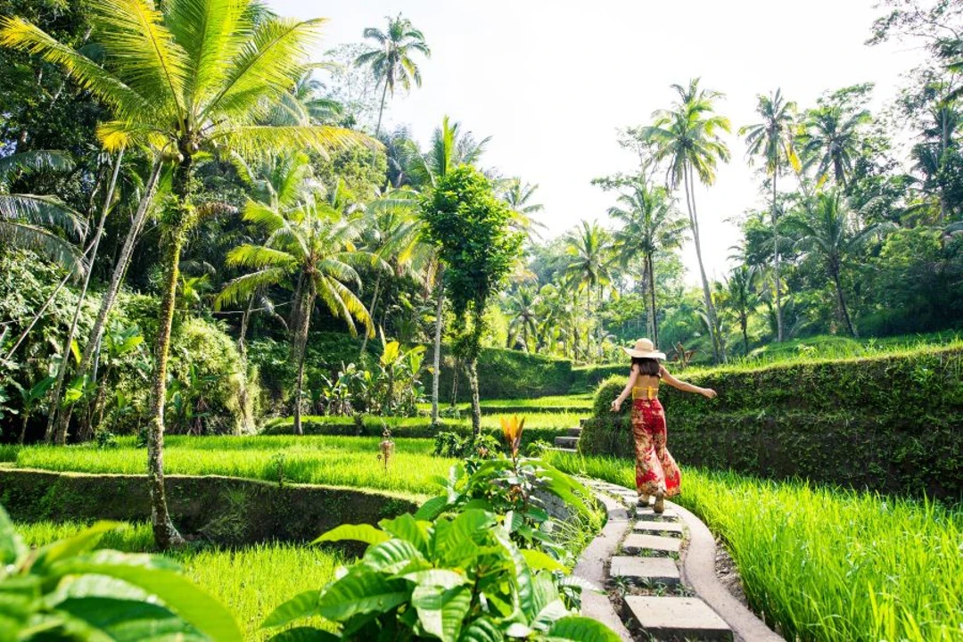 Travel in Bali
