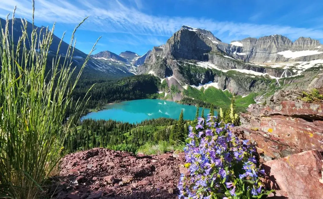 Visit During Wildflower Season in Park