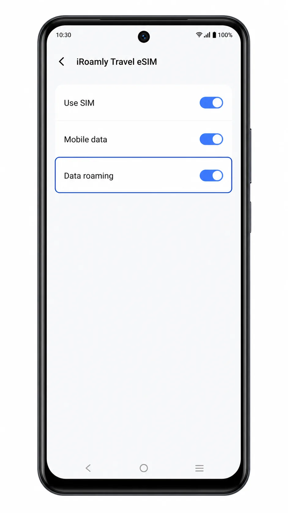 Vivo V40 lite Step 14: Data roaming