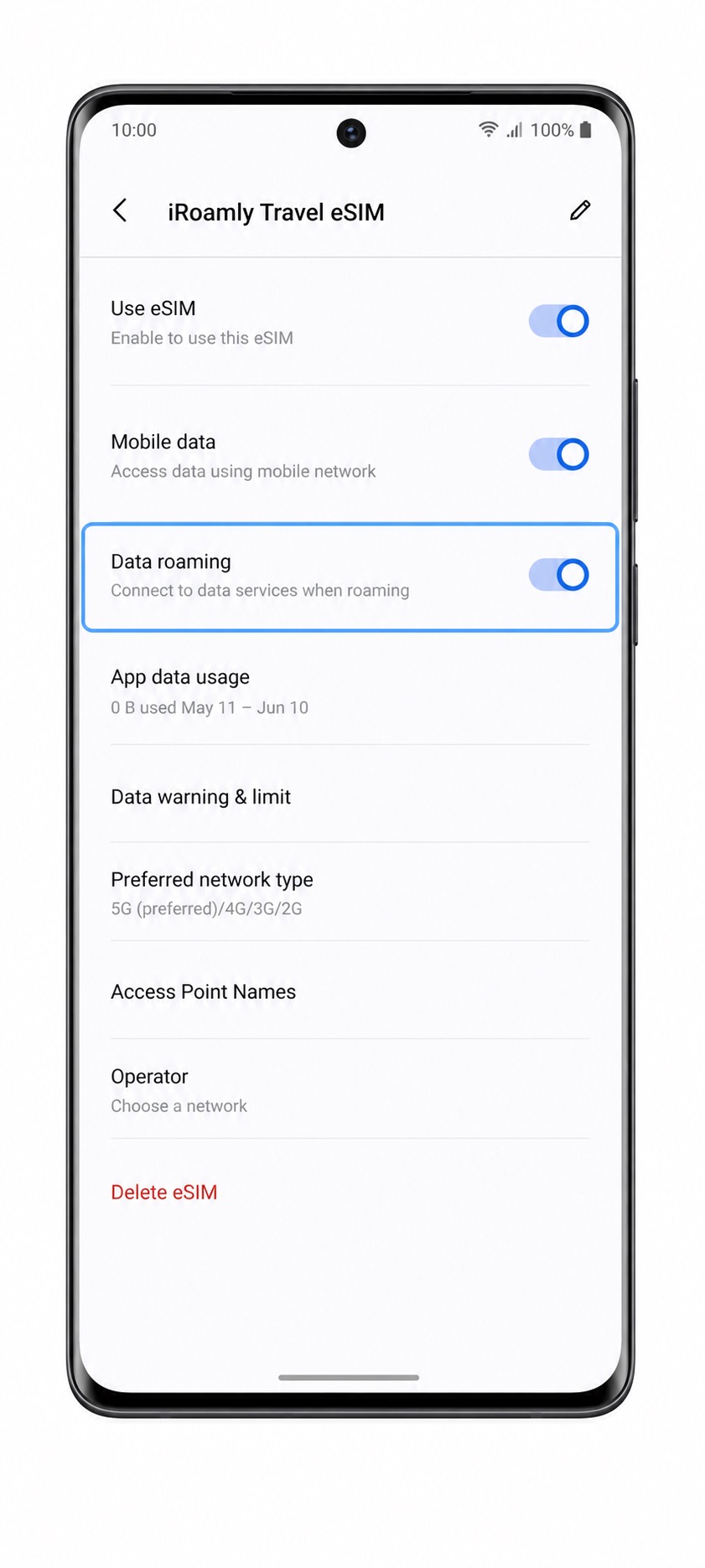 Vivo X100 Pro Step 15: Data roaming
