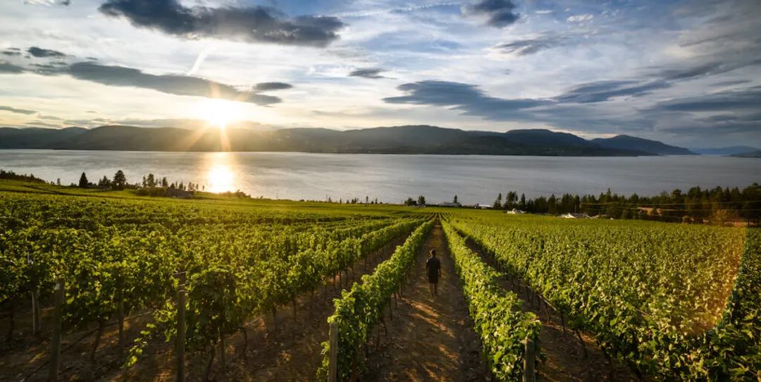 Wine Tasting in the Okanagan Valley