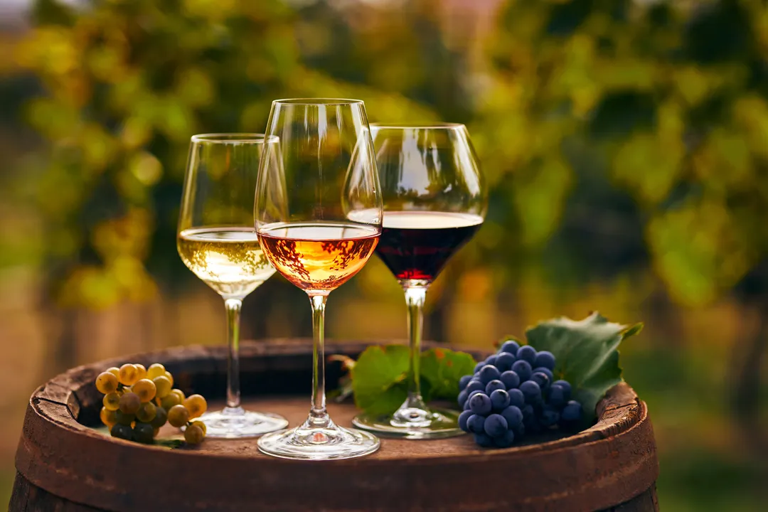 Wine Tasting Tour