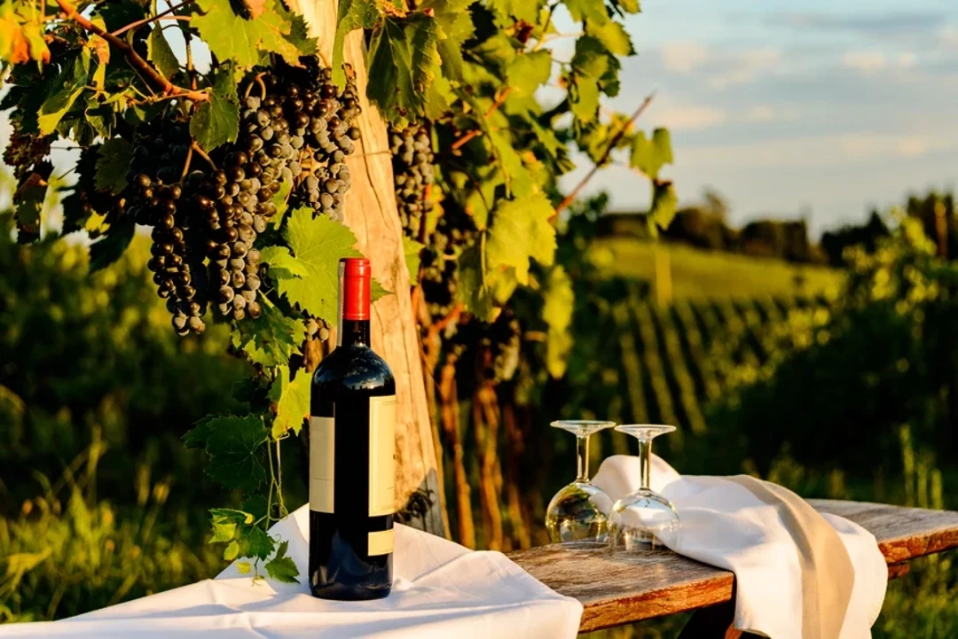 Wine