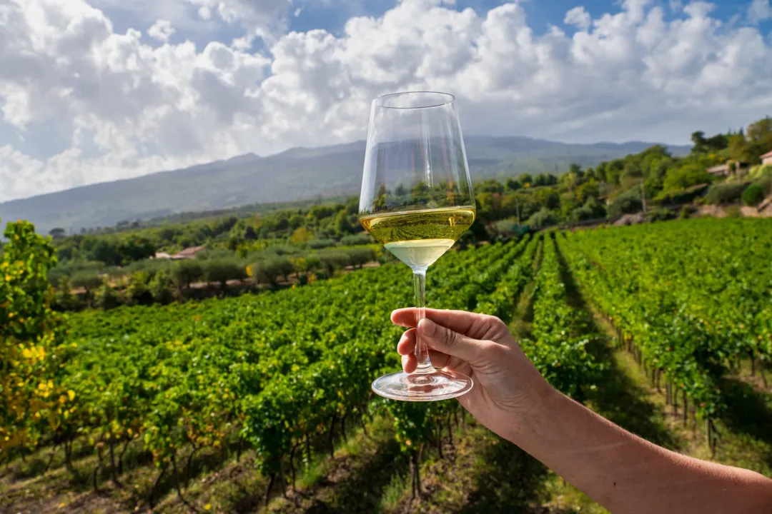 Wines Sicily